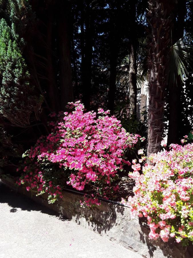 Villa Coris Ferienwohnung Magnolia Merano Extérieur photo