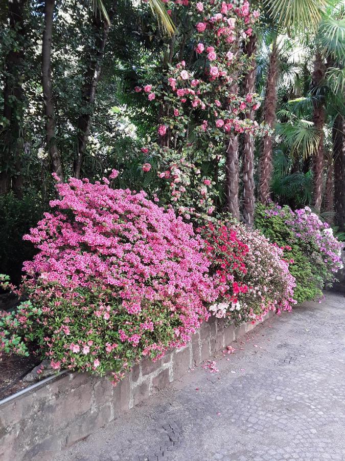 Villa Coris Ferienwohnung Magnolia Merano Extérieur photo